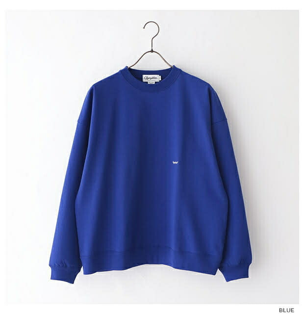 ジムフレックスクルーネックプルオーバー(GY-C0292TCF)T/CFLEECYSWINGSLEEVECREWNECKP.O.Gymphlex(メンズ)*送料無料*【後払い決済不可】【ポイント10倍】期間限定3/1120:00〜3/211:59