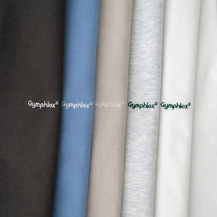 ジムフレックスロゴ刺繍半袖ビッグTシャツ(J-9271HWJ)HEAVYWEIGHTJERSEYCREWNECKS/ST-SHIRTGymphlex(メンズ)【2024春夏】*送料無料*【後払い決済不可】*