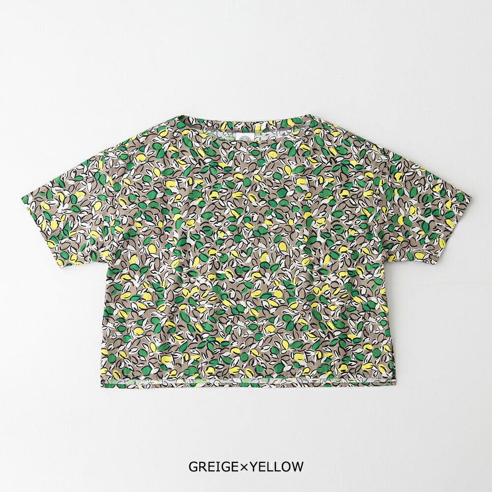 オーシバルコットンポプリンプリント半袖ボートネックプルオーバーシャツ(OR-B0449PFM)FRENCHPRINTEDPOPLINPRINTEDSHORTSLEEVEP.O.ORCIVAL(レディース)【2026春夏】*送料無料*【後払い決済不可】*
